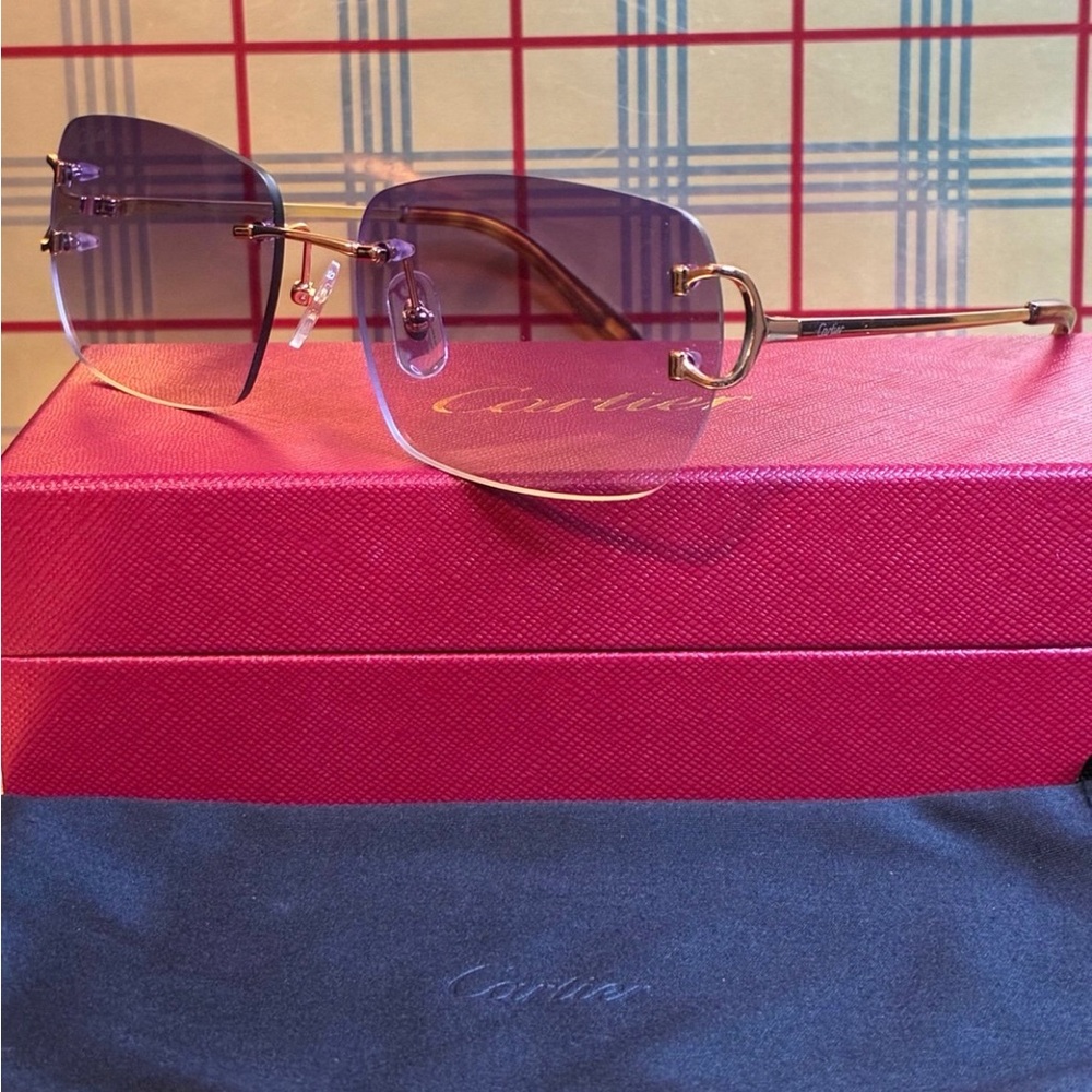 Cartier Unisex Big C Sunglasses - Picture 3 of 6